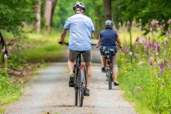 Bicyclette comme strategie de metabolisme et depense de calorie